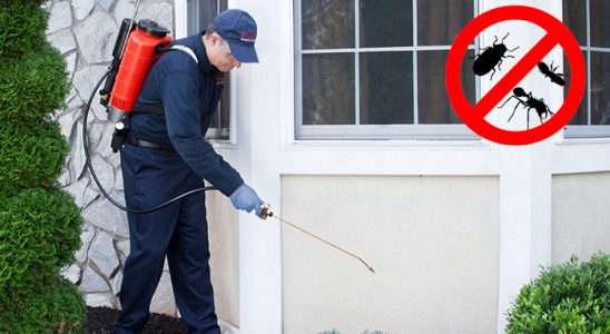 Kayapınar Akrep İlaçlama böcek ilaçlama ve haşere kontrolü — ilaclama-tr.com